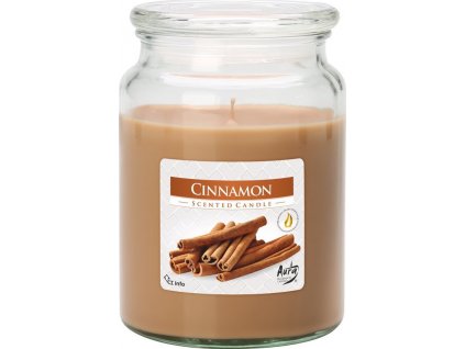 Bispol Aura Maxi Cinnamon 500 g