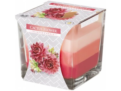 BISPOL Vonná svíčka tříbarevná Cactus Flower170 g