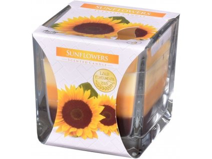 BISPOL Vonná svíčka tříbarevná Sunflowers  170 g