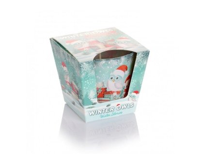 BARTEK CANDLES Svíčka ve skle Winter Owls - vánoční příběhy  115g