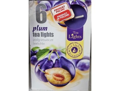 plum tea lights
