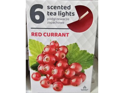 red currant admit