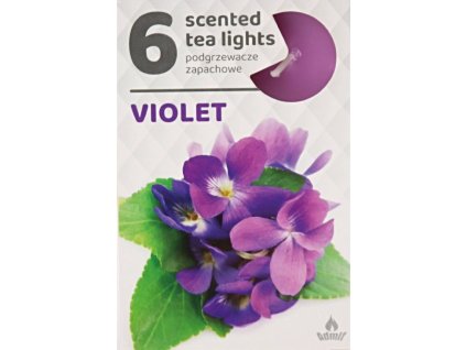 violet violet admit