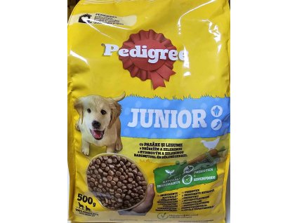 pedigreeJuniorRyzi