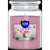 Bispol Aura Maxi Spa Garden 500 g
