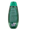 Schauma Herbs & Volume šampon 400 ml