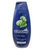 Schauma Men šampon 400 ml