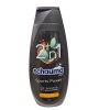 Schauma Men Sports posilující šampon na vlasy 400 ml