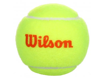 Tenisové míče Wilson Starter Orange 3x