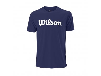 chlapecké tričko  Wilson Y SCRIPT COTTON TEE Blue