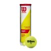 WRT110000E 4 Championship Extra Duty 4Ball Can YE w Ball.png.cq5dam.web.1200.1200