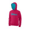 WRA769221 0 Training Y Script Cotton PO Hoody LovePotion ScubaBlue.png.high res