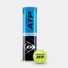 ATP Championship official Ball and 4 Tin Image 500x500 (1)