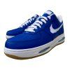 Nike Air Force 1 Low Evo Team Royal