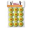 STARTER ORANGE TBALL 12 PACK (Velikost 12 kusů)
