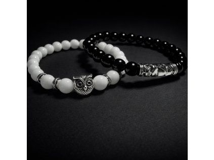 ChatGPT Image 21. 3. 2026 15 17 25