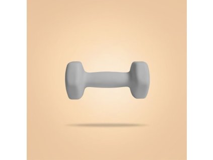 bp 2kg neoprene hex dumbbells 1 1