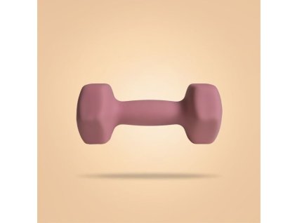 bp 4kg neoprene hex dumbbells 2 1