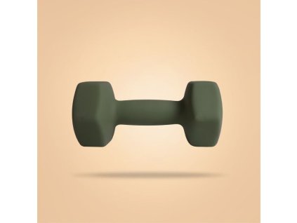 bp 6kg neoprene hex dumbbells 3 1