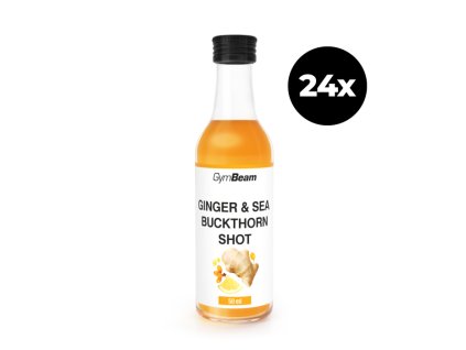 ginger sea buckthorn 24pcs 1