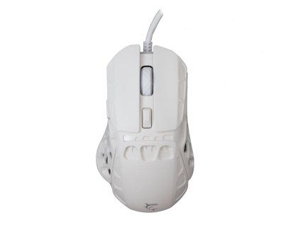 356591 white shark ector bila ien566306