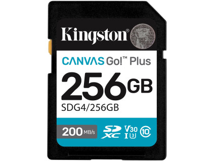 kingston sdxc 256gb canvas go plus ien544295