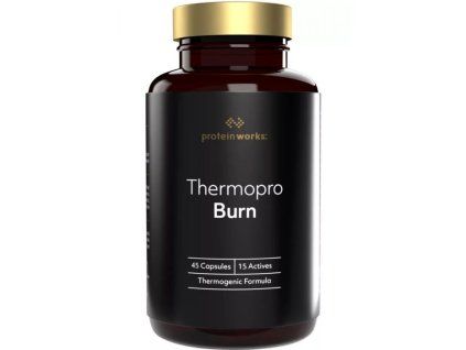 thermopro 45 pla v2