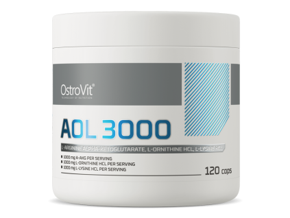 aol 3000 1