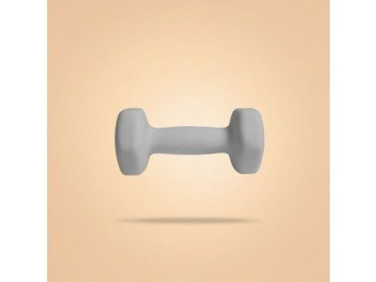 bp 2kg neoprene hex dumbbells 1 1