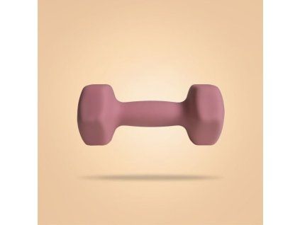 bp 4kg neoprene hex dumbbells 2 1