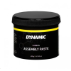 dynamic carbon assembly paste 400g ien503170