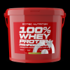 Scitec Nutrition 100% WP Professional 5000 g banana (Príchuť banán)
