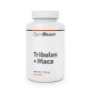 tribulus maca 90 caps gymbeam 1 1