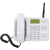 aligator t100 white ien269406