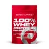 Scitec Nutrition 100% WP Professional 1000 g white chocolate (Příchuť bílá čokoláda)