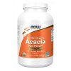 Acacia Powder – Now Foods (Gramáž 340 g)
