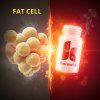 ThermoFit 450 mg/60 kps (Varianta ThermoFit 450 mg/60 kps)