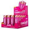 Amix CarniShot 3000 20 x 60 ml lemon (Príchuť citrón)