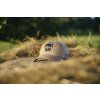 Sauenhammer Hunting Cap with mesh