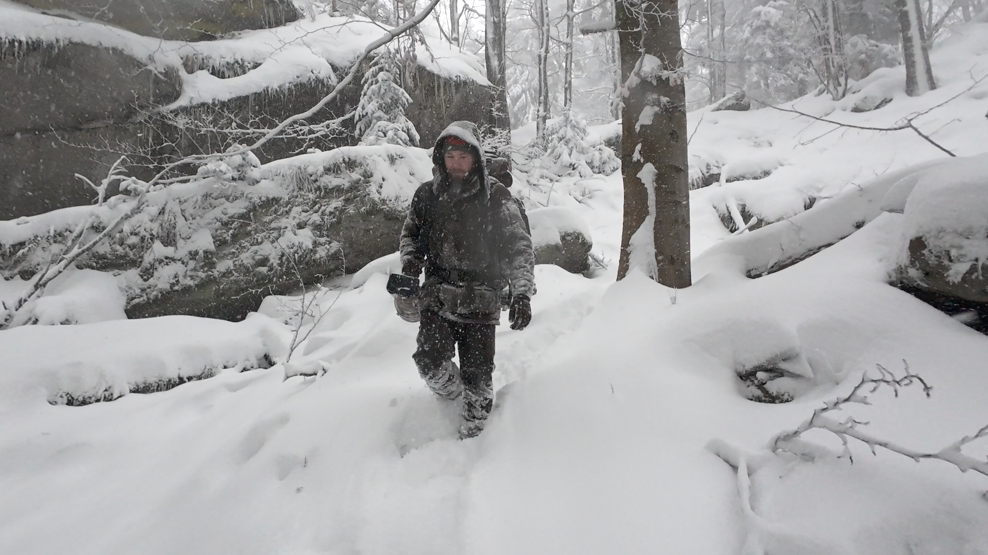 harsh-winter_1.1.1_2