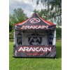 aracain 4