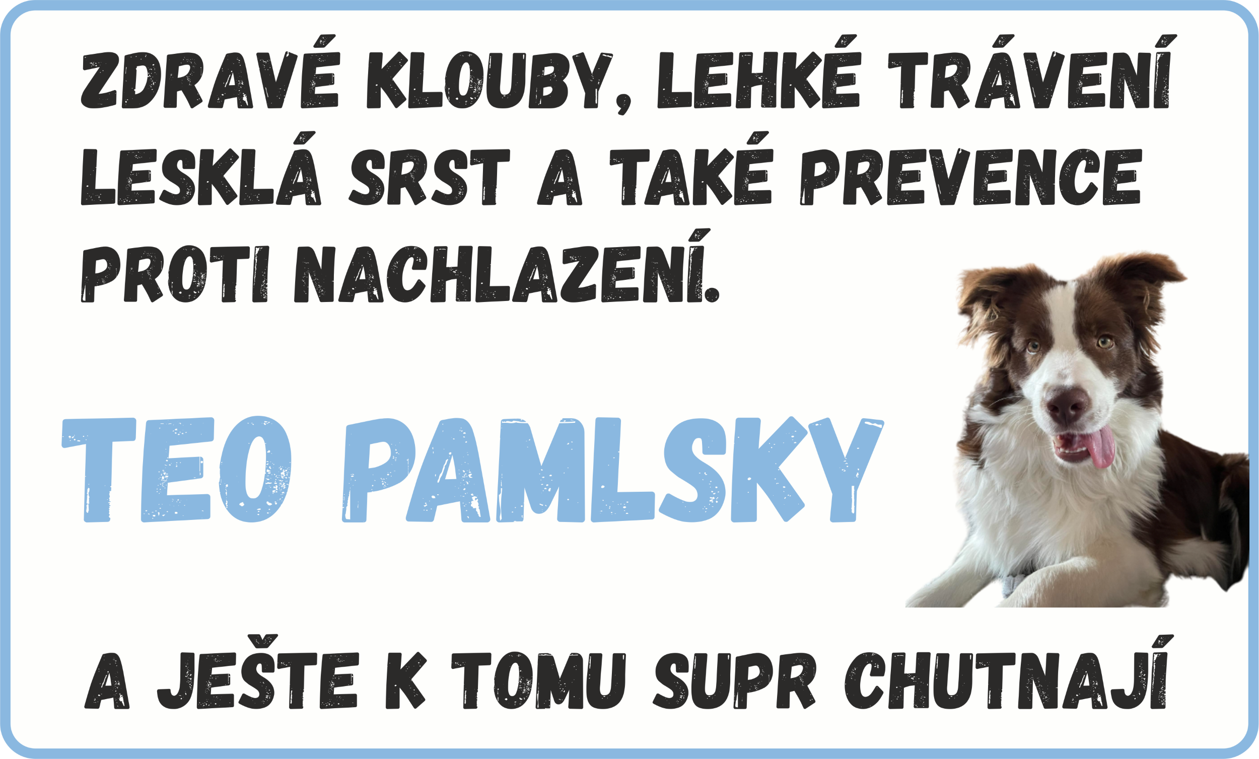 Zdravé a chutné pamlsky