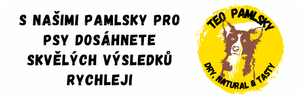 Teo Pamlsky