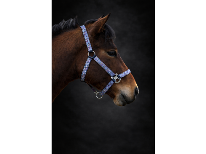 ChatGPT Image Apr 15, 2026, 09 56 50 AM