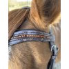 Kombinovaná anatomická uzdečka TEQ Equestrian Classic