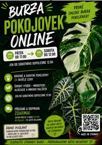 Burza Pokojovek