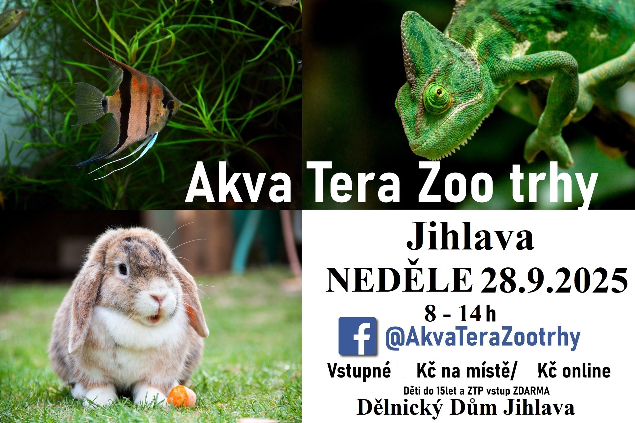 AQUA TERAZOO TRHY