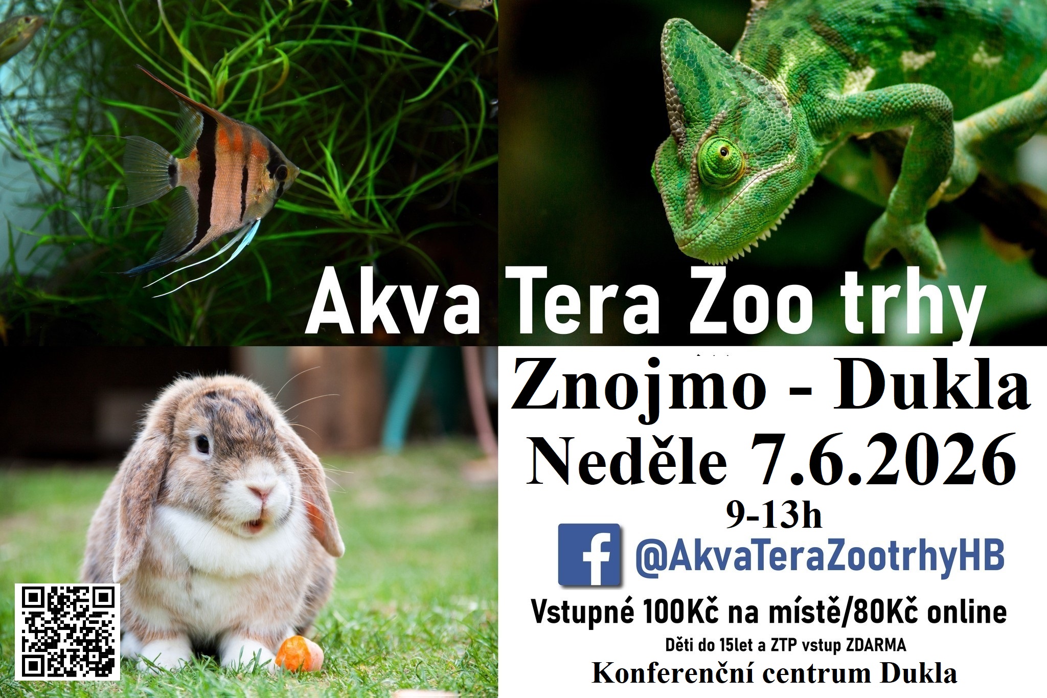 AQUA TERAZOO TRHY