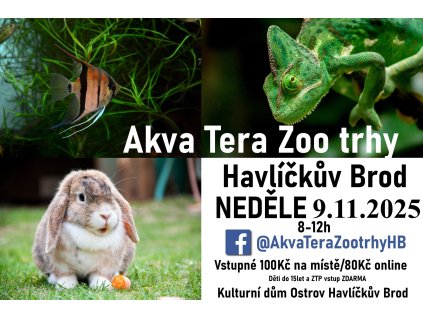 plakát fb