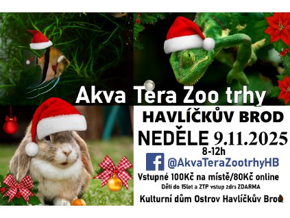 vánoční plakát